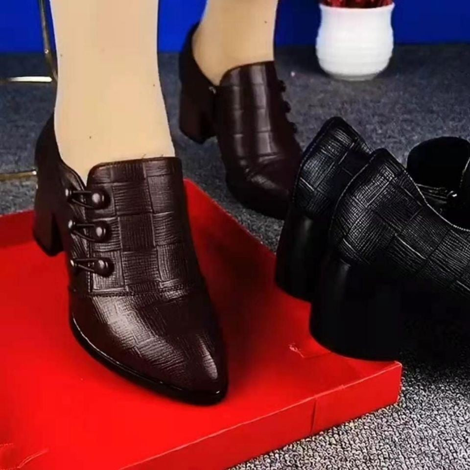 Spring And Autumn Single-layer Shoes Women's Shallow Mouth Pointed Toe Thick Heel Leather Shoes