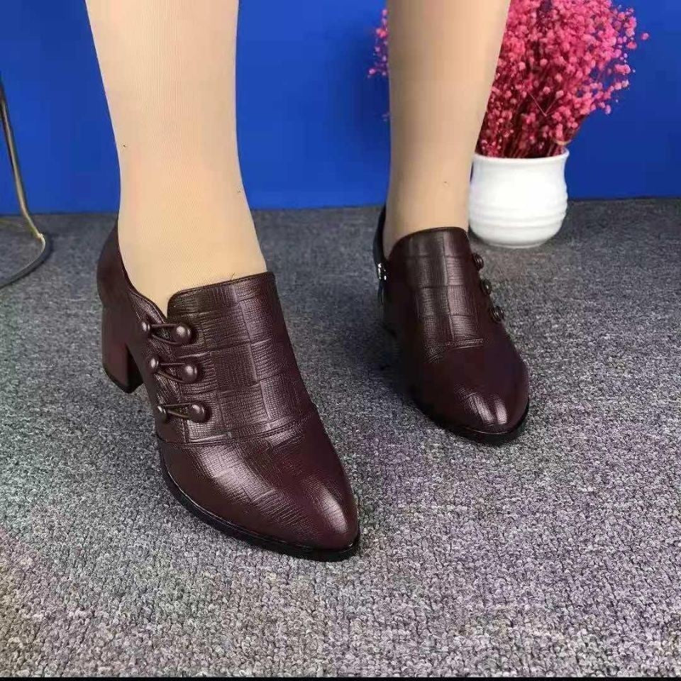 Spring And Autumn Single-layer Shoes Women's Shallow Mouth Pointed Toe Thick Heel Leather Shoes